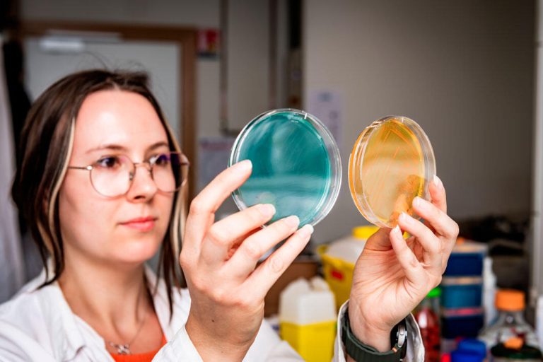 Des bactéries mangeuses de PFAS