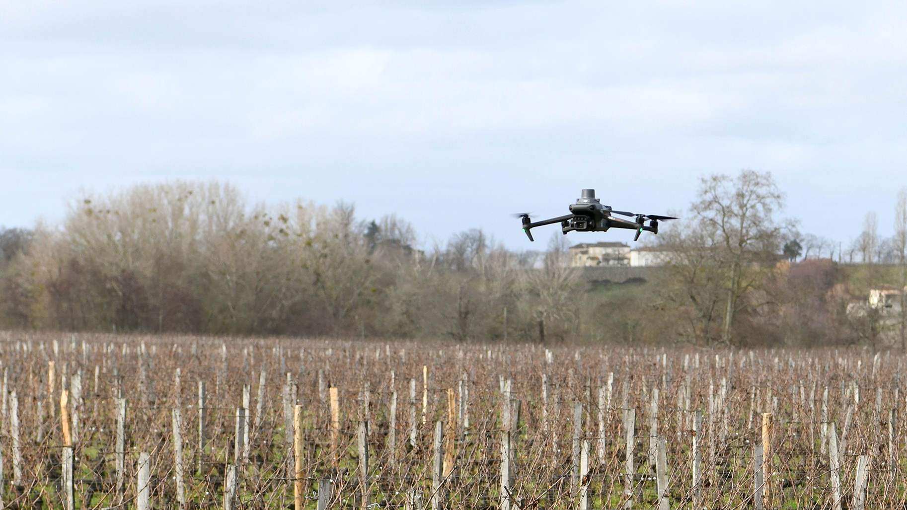 Vitidrone veut faire décoller l’agriculture durable