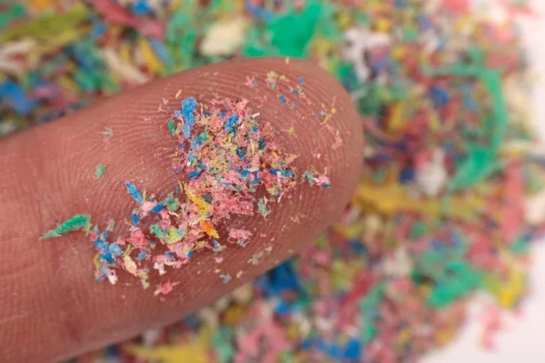 New Study Reveals How Nanoplastics Make Bacteria More Dangerous