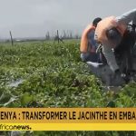 Kenya : la jacinthe d&rsquo;eau transformée en emballage écologique