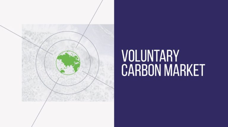 The Core Carbon Principles