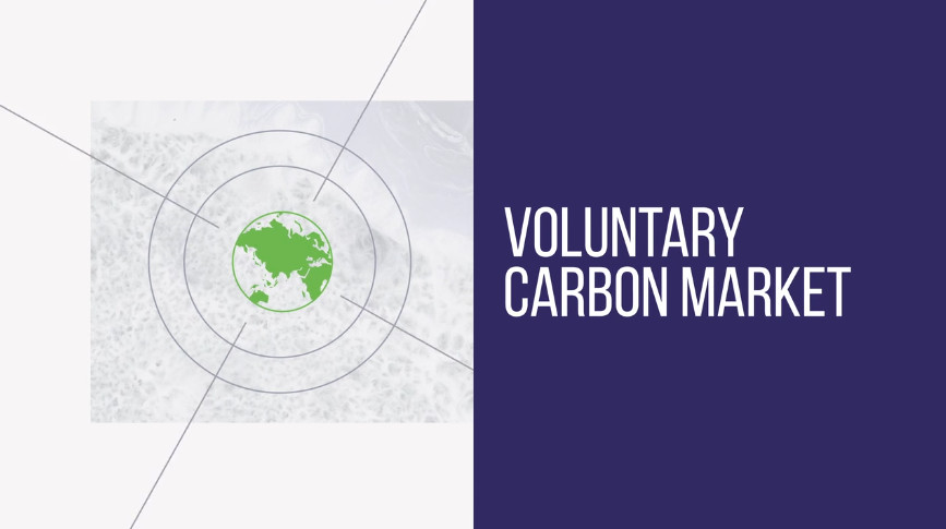 The Core Carbon Principles