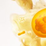 Solein® transforms ancient microbes into the future of food