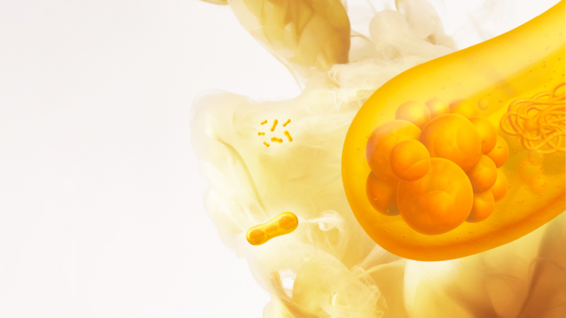 Solein® transforms ancient microbes into the future of food