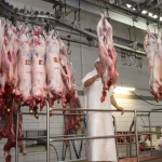 Le Danemark met un terme aux abattages rituels d&rsquo;animaux