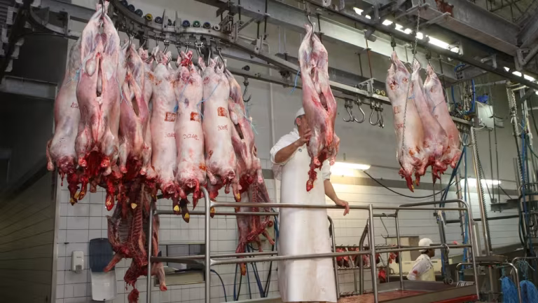 Le Danemark met un terme aux abattages rituels d&rsquo;animaux