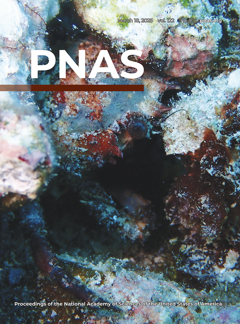 A global estimate of multiecosystem photosynthesis losses under microplastic pollution