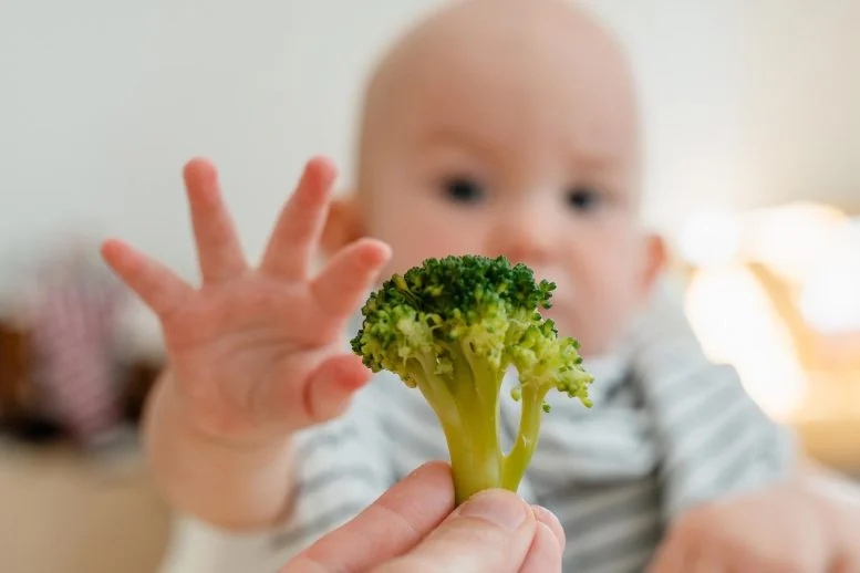 Study of 1.2 Million Infants Reveals the Truth About Vegan Baby Diets