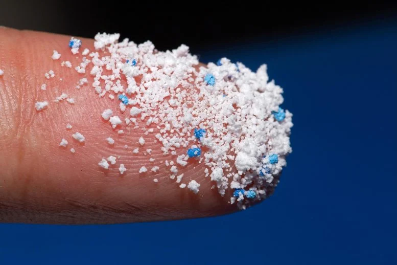 Scientists Say This Popular Food Could Help Your Body Get Rid of Microplastics
