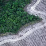 Le Brésil place la lutte contre la déforestation au cœur de son nouveau plan pour réduire les émissions de CO₂