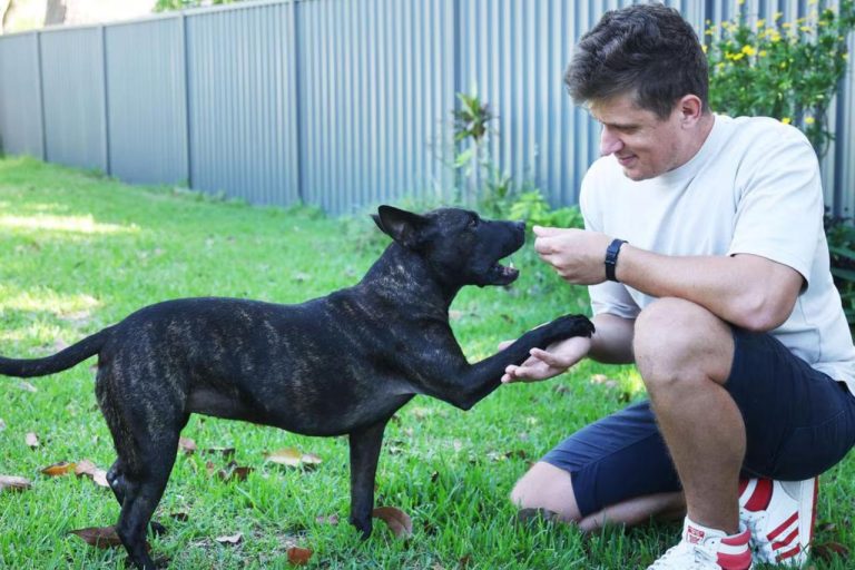 AI builds world&rsquo;s first personalized cancer vaccine for a dog