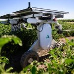 AI robots fill in for weed killers and farm hands