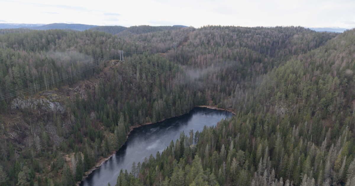 Norvège : Fensfeltet abrite 15,9 millions de tonnes de terres rares