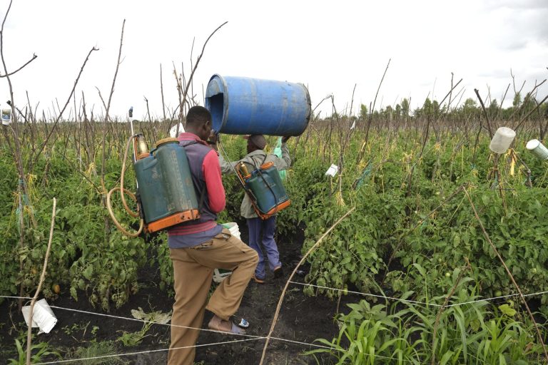 EU must stop banned chemicals being sold to Africa, judge urges MEPs