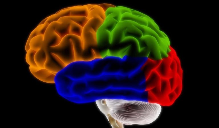 Utiliser ChatGPT diminue notre activité cérébrale, le MIT tire la sonnette d’alarme