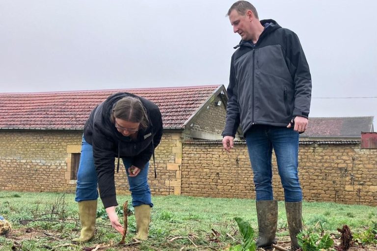 ENQUÊTE PFAS : des analyses exclusives dévoilent la contamination des sols et des légumes dans les Ardennes et la Meuse