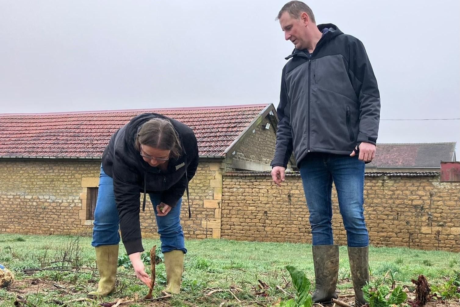 ENQUÊTE PFAS : des analyses exclusives dévoilent la contamination des sols et des légumes dans les Ardennes et la Meuse