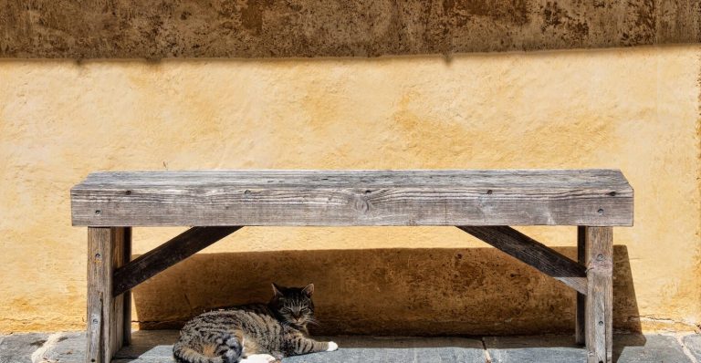 State of the climate: Strong El Niño puts 2026 on track for second-warmest year