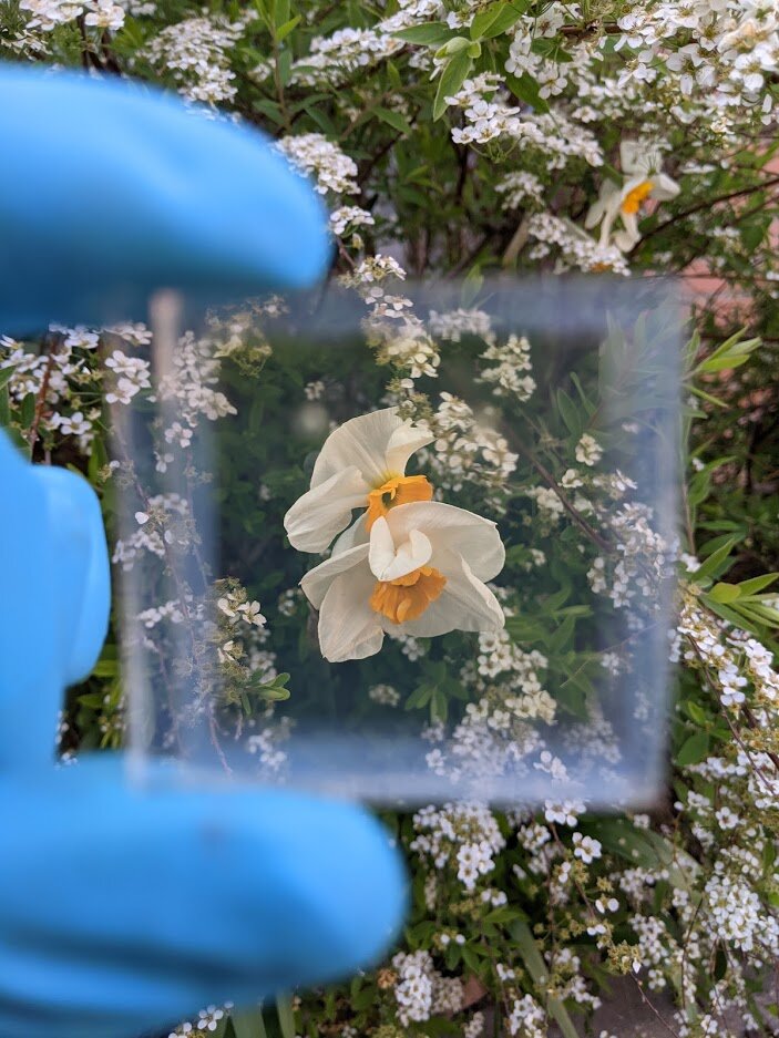 L&rsquo;innovation photovoltaïque et du verre avec l&rsquo;Université de Picardie