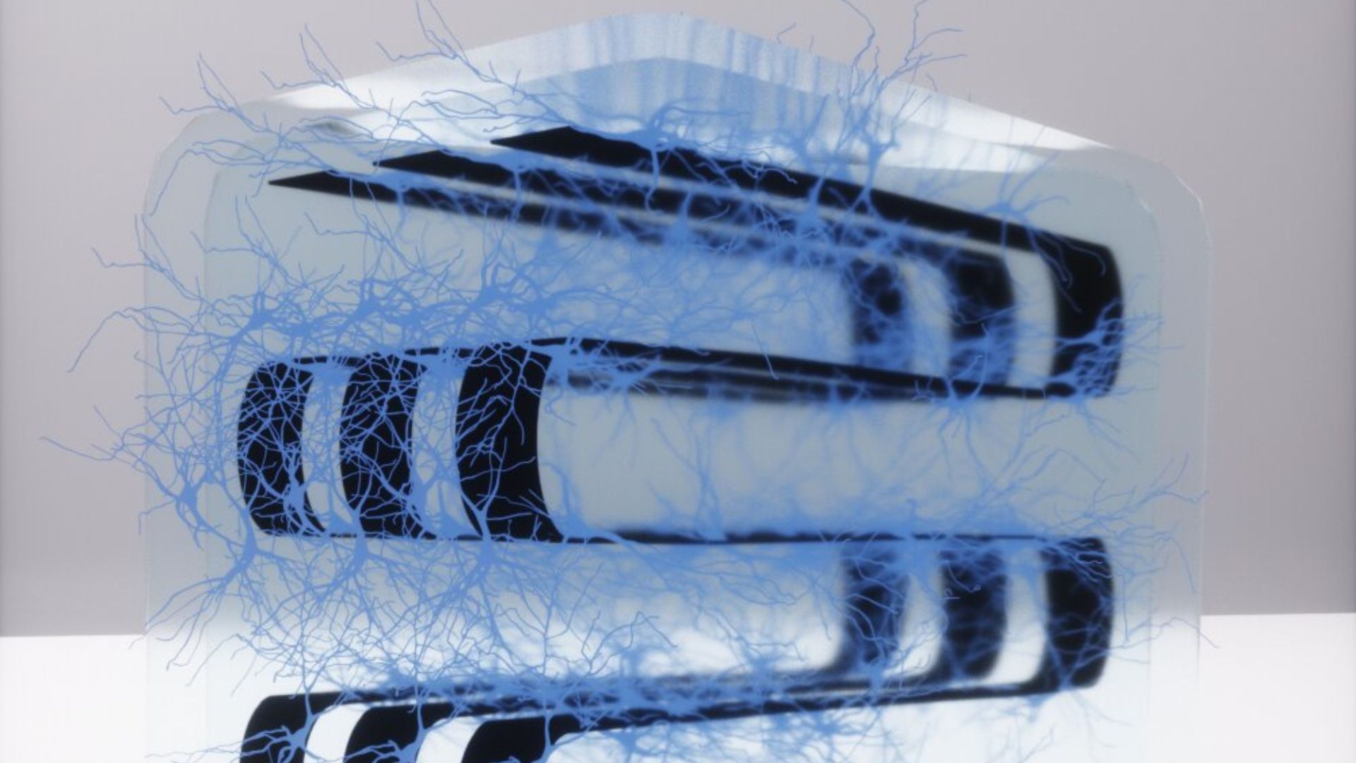 US: Princenton scientists make 3D bio-electronic hybrid system using brain cells