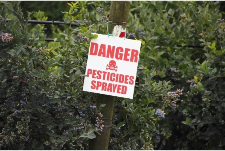 Beyond “Safe Levels”: Study Challenges What We Know About Pesticides and Cancer