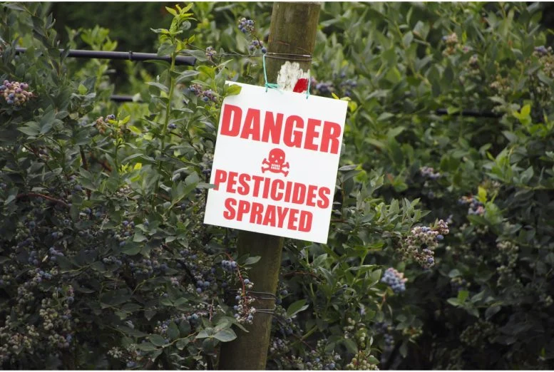 Beyond “Safe Levels”: Study Challenges What We Know About Pesticides and Cancer