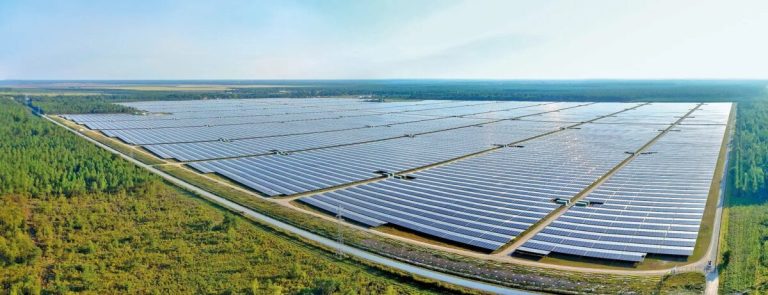 En France, les panneaux solaires occupent 11 400 hectares de forêts, de terres agricoles et d’espaces naturels