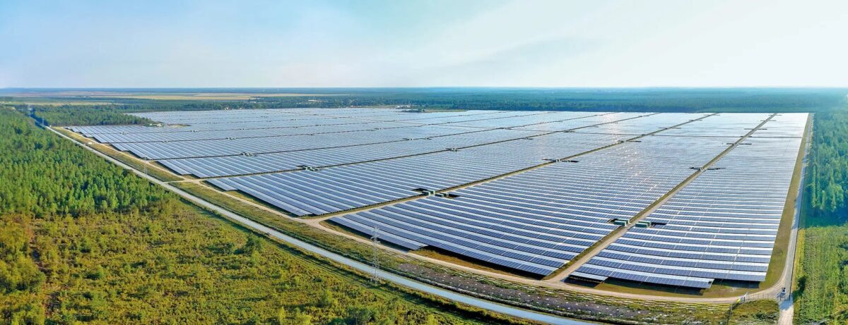 En France, les panneaux solaires occupent 11 400 hectares de forêts, de terres agricoles et d’espaces naturels