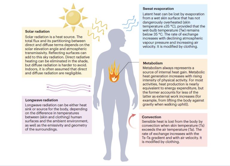 Mortality impacts of the most extreme heat events