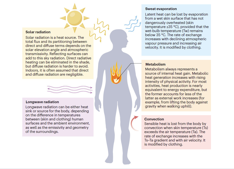 Mortality impacts of the most extreme heat events