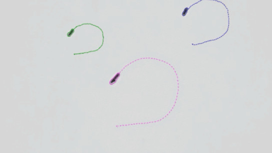 Magnetic robots could help remove dangerous nanoplastics from water