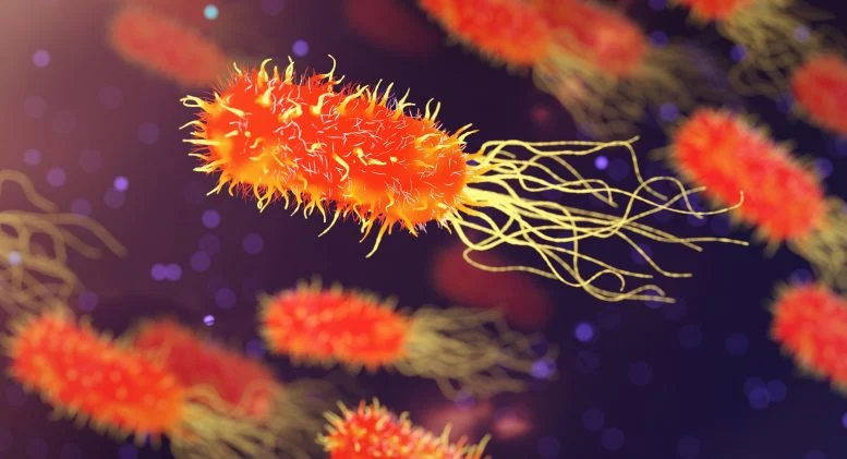 Forgotten Medicinal Plant Shows Promise in Fighting Dangerous Superbugs