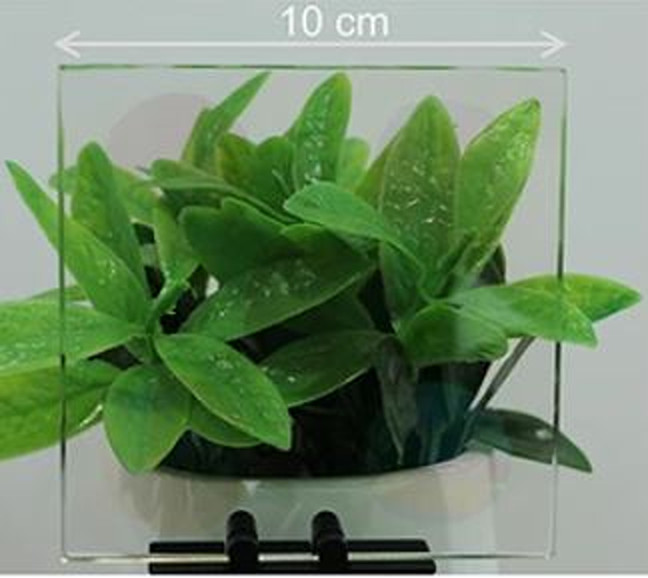 Chinese scientists develop colorless solar concentrator for PV windows