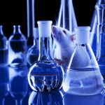 UK Releases Roadmap for Alternatives to Animal Testing