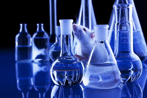 UK Releases Roadmap for Alternatives to Animal Testing