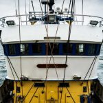 Le coût caché du chalutage de fond marin, décrypté par une étude de National Geographic Pristine Seas