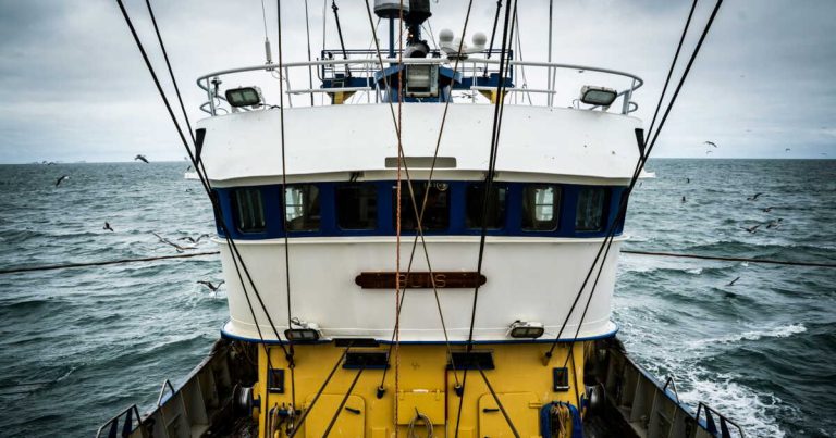 Le coût caché du chalutage de fond marin, décrypté par une étude de National Geographic Pristine Seas