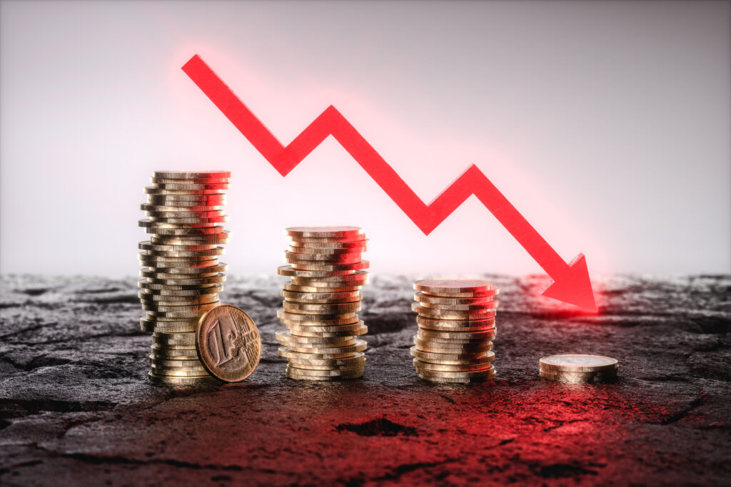 [Fact-checking] Le passage à l&rsquo;euro a-t-il fait baisser le niveau de vie des Européens ? – Touteleurope.eu