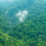 La croissance économique et la protection de la biodiversité ne sont pas antinomiques, selon cette étude