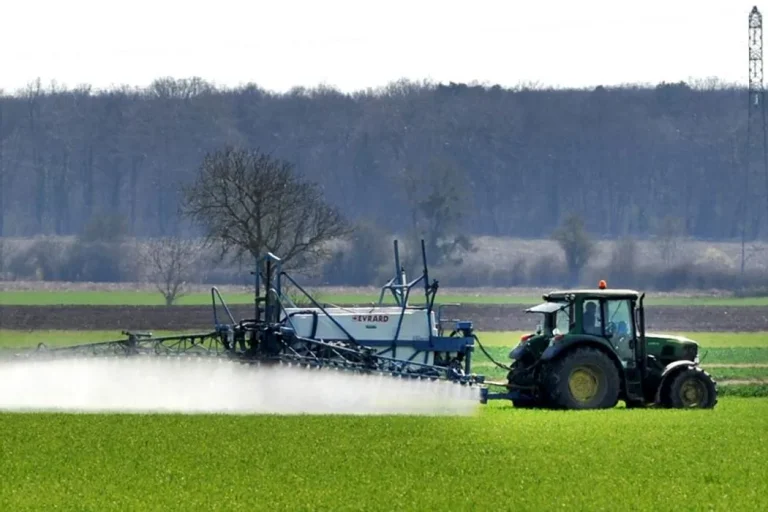 « On a été étonnés » : ce que révèlent dix ans de « zéro pesticide » sur des cultures soi-disant dépendantes du « parapluie chimique »