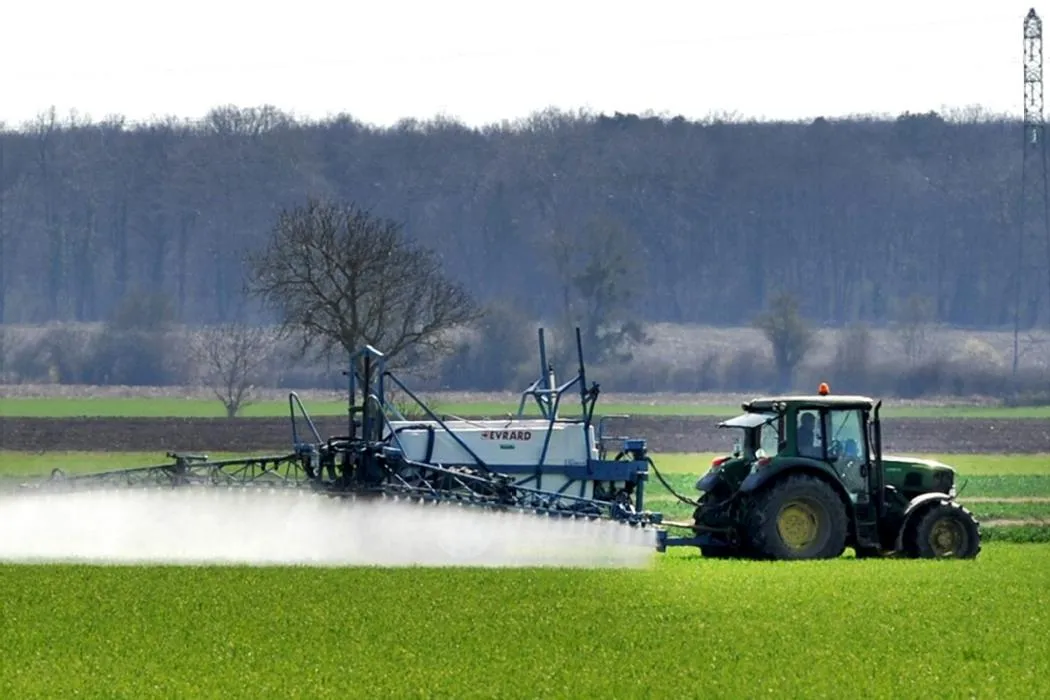 « On a été étonnés » : ce que révèlent dix ans de « zéro pesticide » sur des cultures soi-disant dépendantes du « parapluie chimique »
