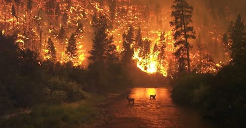 Climat: l&rsquo;année 2026 s&rsquo;annonce « particulièrement grave », selon les scientifiques