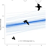 Seabird range contraction and dispersal under climate change – Nature Climate Change