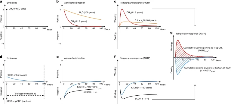 Temporary carbon dioxide removal to offset short-lived climate forcers