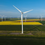 ‘Climate solutions will bring down bills and restore nature’: green issues and May elections