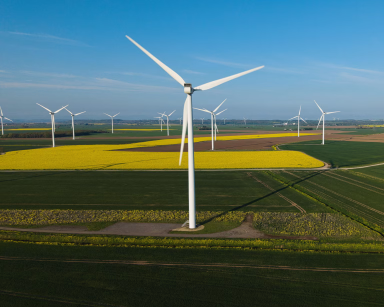 ‘Climate solutions will bring down bills and restore nature’: green issues and May elections
