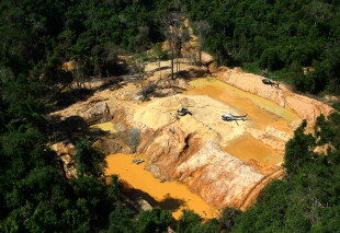 A gold-fueled mining rush scars Brazil’s Amazon, spiking deforestation and mercury risks