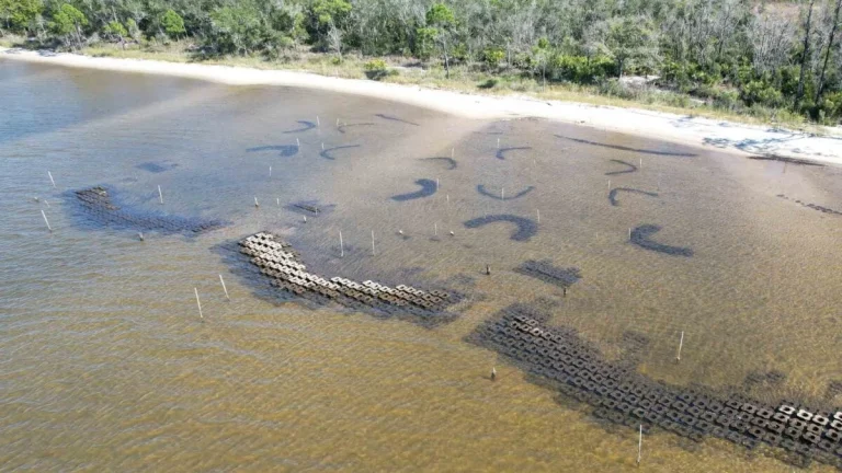 Pentagon Think Tank Tests Ingenious Plan to Protect Coasts From Hurricanes—and It&rsquo;s Working