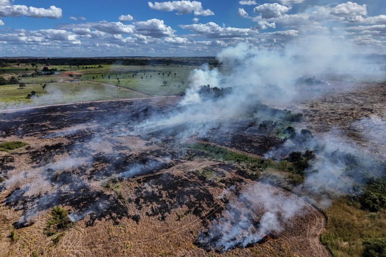 Amazon Deforestation at Eight-Year Low, Report Shows