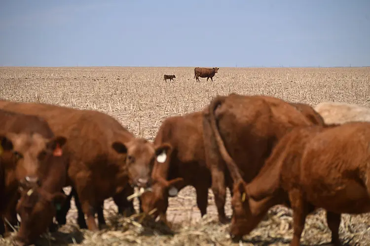 The Worst Spring Drought on Record Is Putting U.S. Crops at Risk